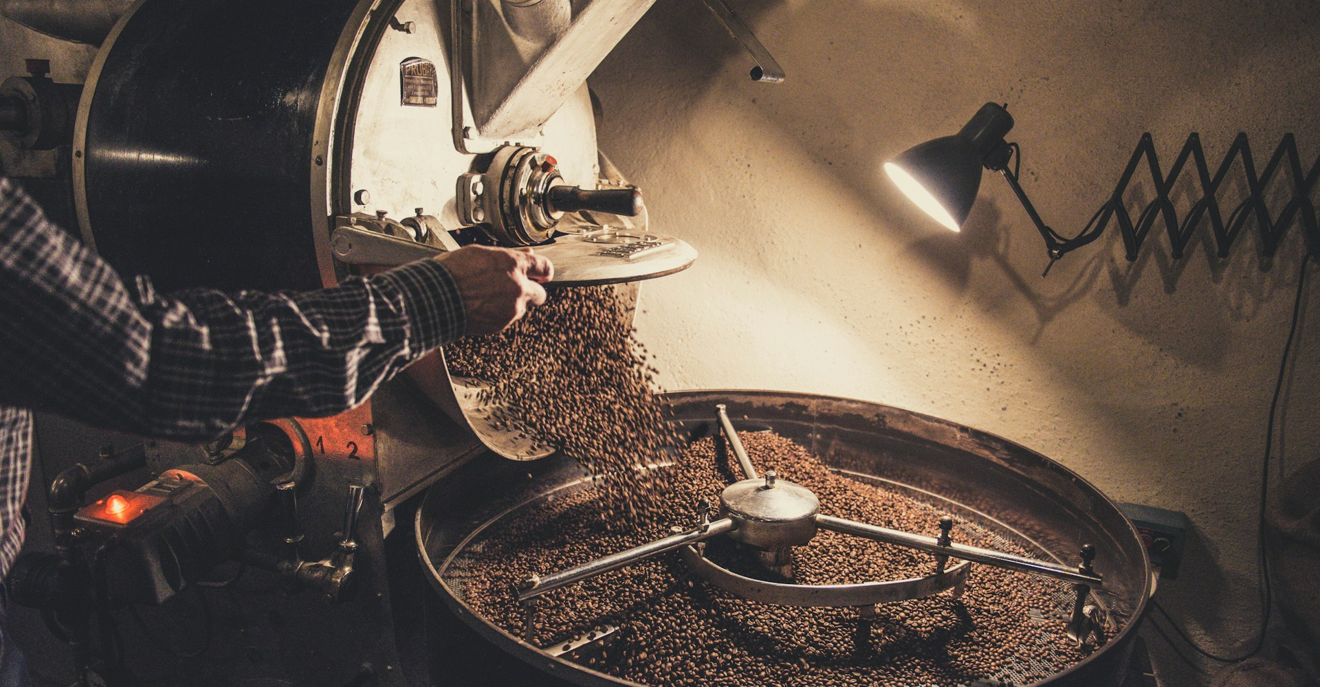 Coffee plantation